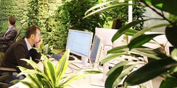 office and nature space